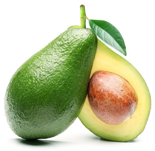 Avocado Galil