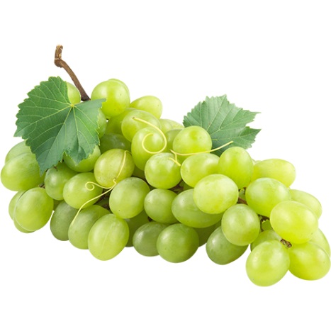 Druiven wit Victorie groot