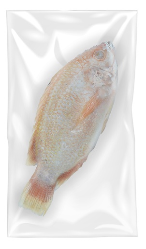 Rode Tilapia Rauw Gestript En Ontschubd 500/800