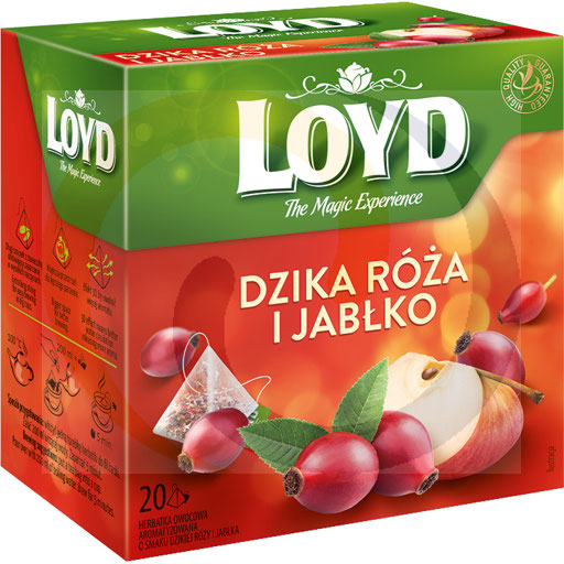 Лойд фруктовый чай с ароматом яблока и шиповника 40 г (20 x