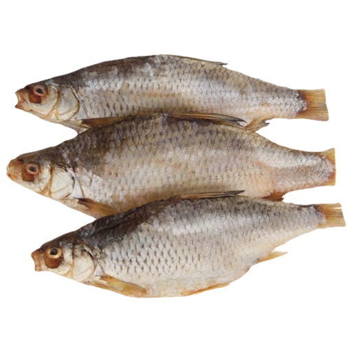 Plötze, geheel, gezouten en gedroogd, diepgevroren / los