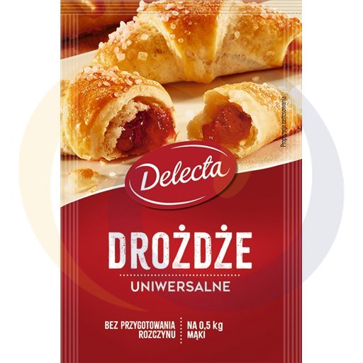 Delecta Universele Gist 8 g