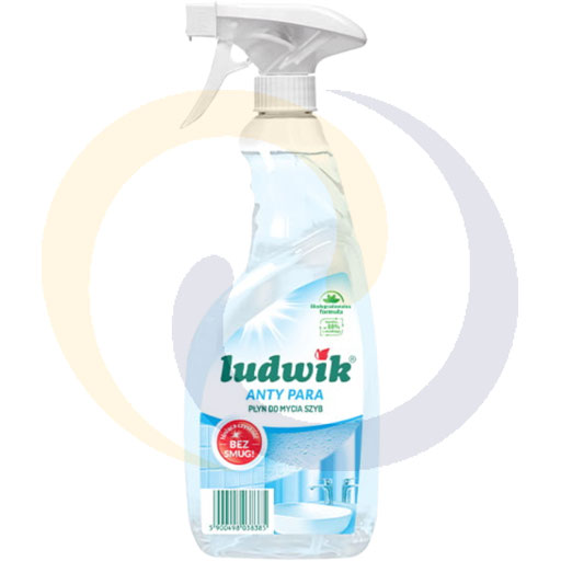 Ludwik anti-stoom raamreiniger 0,6L /6stuks Inco