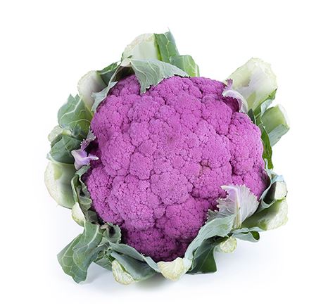 Bloemkool paars