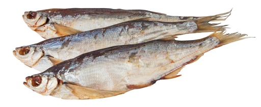 Sichling (Pelecus cultratus), ongekuist, gezouten en gedroogd