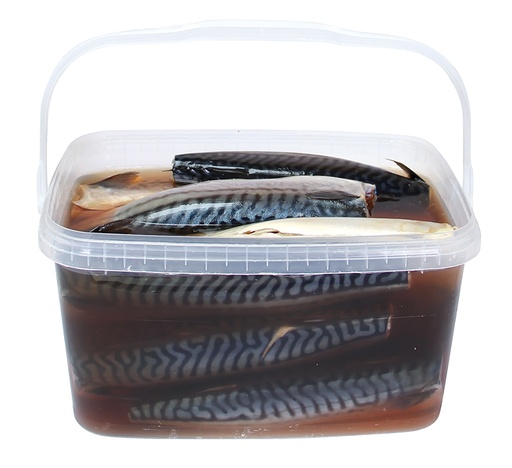 Makreel (Scomber scombrus) in zoutwater, zonder hoofd, uitge