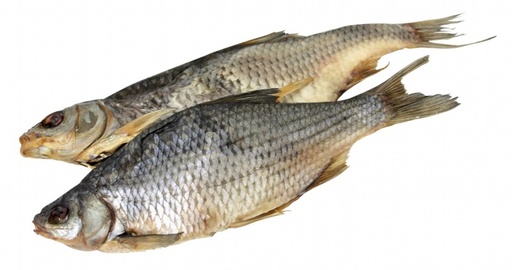 Plötze (Rutilus rutilus) gezouten en gedroogd, ongekuist