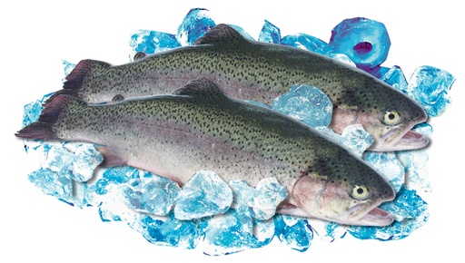 Forel vers