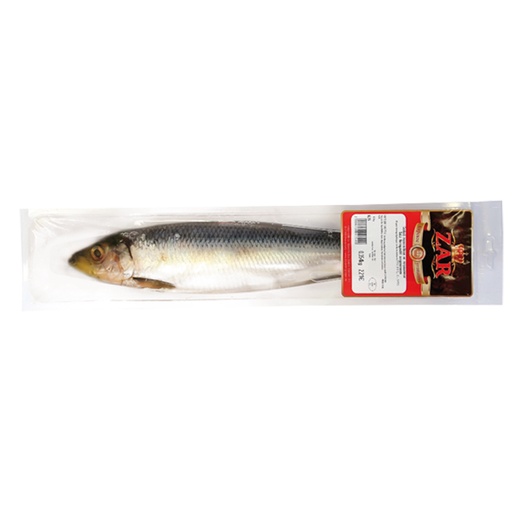 Haring (Clupea harengus), gezouten "Zar"