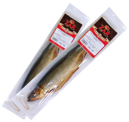 Koudgerookte haring (Clupea harengus) met kop, niet schoon