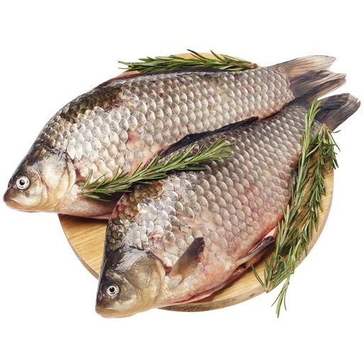 Kroeskarper