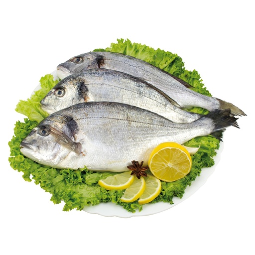 Dorade
