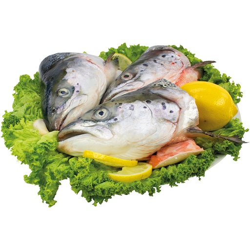 Zalmkoppen