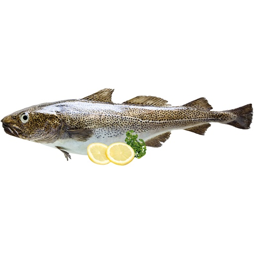 Kabeljauw