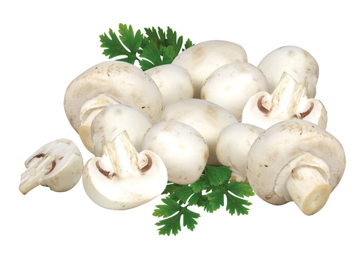 Champignons wit