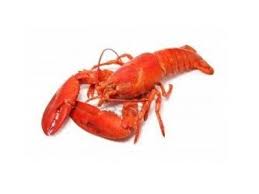 Revierkreeften gekookt 2kg