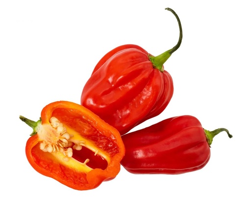 Habanero rood per kg